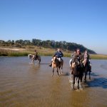 Argentina Horse Adventures