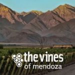 The Vines Of Mendoza