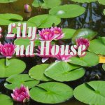 Lily Pond House