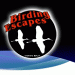 Birding Escapes