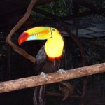 Macaw Mntn. Birdpark