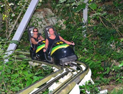 Rain Forest Adventures-Bobsled Ride in the Jamaican Jungle