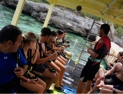 Alex Scuba-Explore the underwater world of Cozumel
