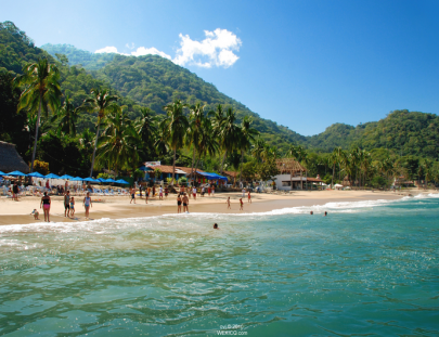 Pv Sea Dive-Tours Privados de snorkel, buceo y paddleboard