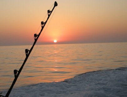 Pv Sportfishing-An action-packed day of Sport fishing 