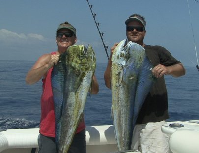 Pv Sportfishing-An action-packed day of Sport fishing 