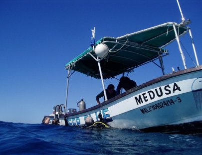 Deep Blue Divers-Buceo emocionante en aguas azul turquesa