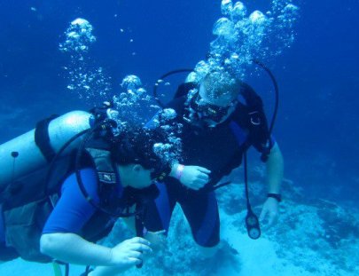 Dive Cooperative-El paquete Dream Extreme