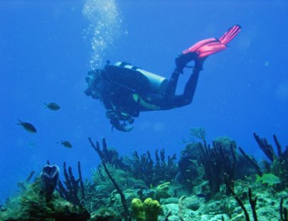 Buceo y Snorkel en El Gran Arrecife Maya - Pancho Diving Adventures