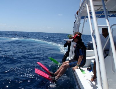 Scuba Shack-Explora el mundo submarino de Cozumel