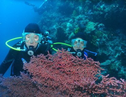 Scuba Shack-Explora el mundo submarino de Cozumel