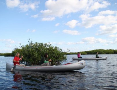 Explorar el interior de  Cozumel en kayak - Mexico Silvestre Wilderness Outfitter