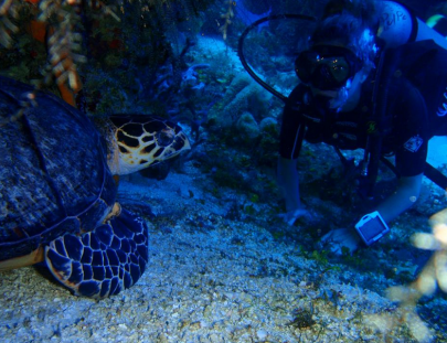 El Pulpo Scuba Divers-Descubre el Buceo en la hermoso Isla de Cozumel