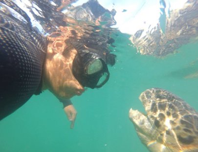 Iguana's Trips-Snorkeling with Green Turtles at the South of Peru