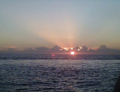 Albatros Charters-Albatros Charters cruceros al atardecer