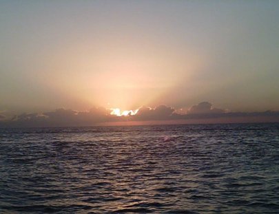 Albatros Charters-Albatros Charters cruceros al atardecer