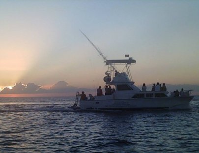 Albatros Charters-Albatros Charters cruceros al atardecer