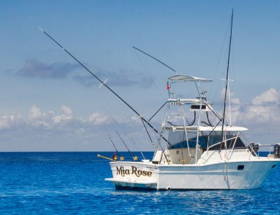 Pesca de deportiva de fondo en Cozumel - Chichi Charters