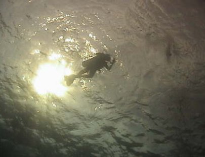 Scuba Gamma-Curso de Buceo Discovery Plus