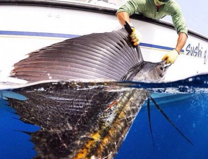 Master Baiter´s Sport Fisihig & Tackle -Overnight two Day deep sea Fishing trip