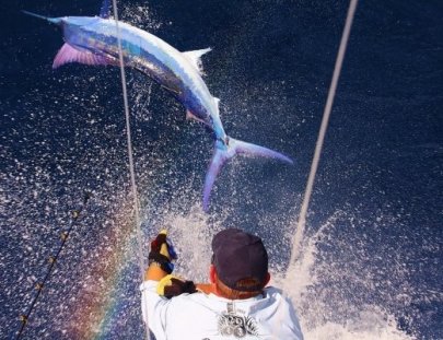 Master Baiter´s Sport Fisihig & Tackle -Overnight two Day deep sea Fishing trip