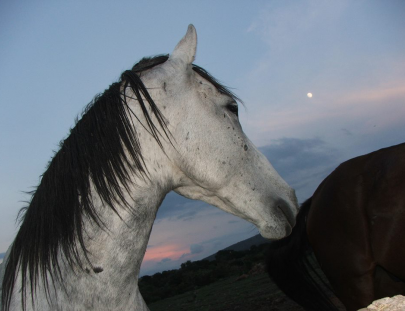 Rancho Las Cascadas-A week long Highland Exploration on horseback 