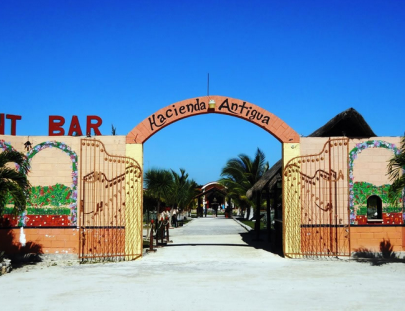 Hacienda Antigua-La historia del Tequila con Catación y un Tour de Procesos