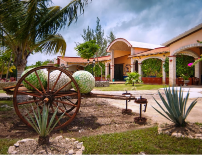 Hacienda Antigua-La historia del Tequila con Catación y un Tour de Procesos