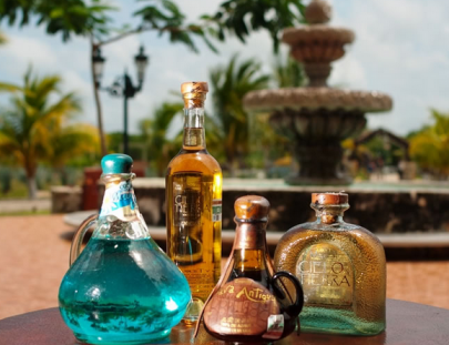 La historia del Tequila con Catación y un Tour de Procesos - Hacienda Antigua