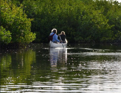 Mexico Silvestre Wilderness Outfitter-Explorar el interior de  Cozumel en kayak
