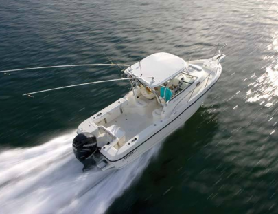 Fishing Charters Pv-Sport Fishing Private Charters 
