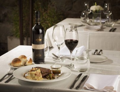 Bodegas Septima-A restaurante with a view of The Andes