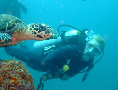 Scuba Coiba-Multy-Day Scuba Diving Trip around Coiba Island