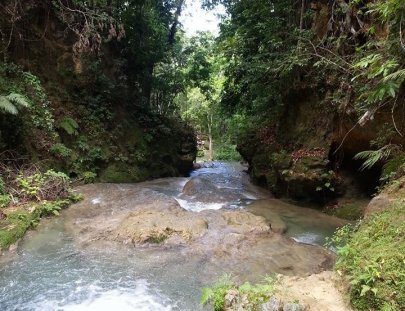 Island Transfer And Tours-Safari del Black River & Tour del Atardecer en Negril