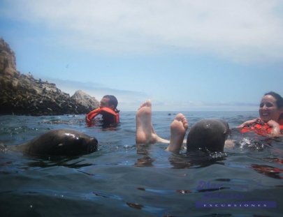 Mar Abierto Excursiones-Swimming with Sea Lions