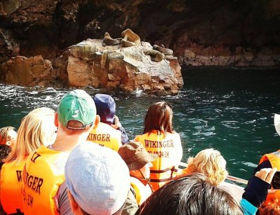 Secrets Of Peru-Islas Ballestas Marine Life Boat Tour