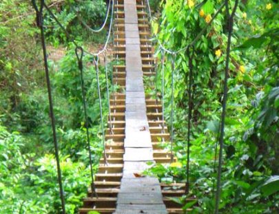 Jamaica Zip Line Adventure Tours-Paseo Off Road a las Tirolesas en las Montañas Jamaiquinas 