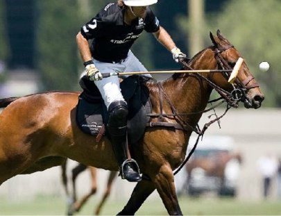 Buenos aires Full Polo Day - Polo Tours