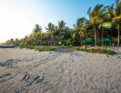 La Tortuga Verde-Eco Hotel turtle sanctuary 