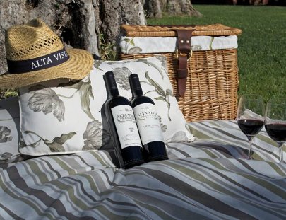 Bodega Alta Vista-Have a Picnic in the Altavista´s  vineyard 