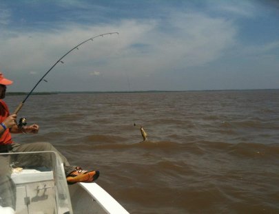 Unicotrip-Full day fishing trip on the River Paraná