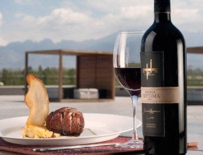 Bodegas Septima-A restaurante with a view of The Andes