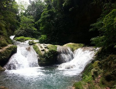 Island Transfer And Tours-Safari del Black River & Tour del Atardecer en Negril