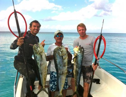 Spearfishing Today-Aprende a pescar con Arpón de los Expertos de Cozumel 