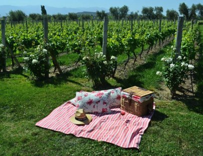 Have a Picnic in the Altavista´s  vineyard  - Bodega Alta Vista