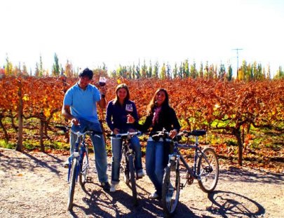 Sak Winetravel-Biking through Mendoza´s Wineries
