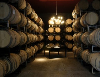 Bodega Tapiz-Tour guide for experts in Wine Warehouse