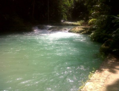 Nada en una joya escondida entre cuevas, lianas y cascadas en Jamaica - Peat Taylor Tours