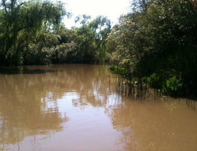 Unicotrip-Full day fishing trip on the River Paraná