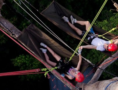 Tropical Tree Climbing-Full Day Tree Climbing in the Amazon Rainforest